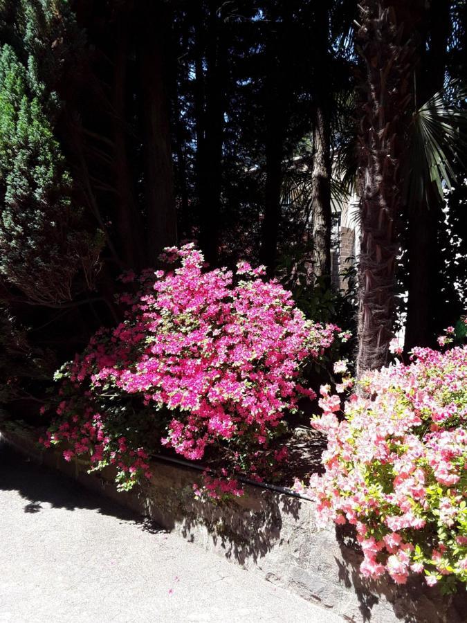 Villa Coris Ferienwohnung Magnolia Merano Esterno foto