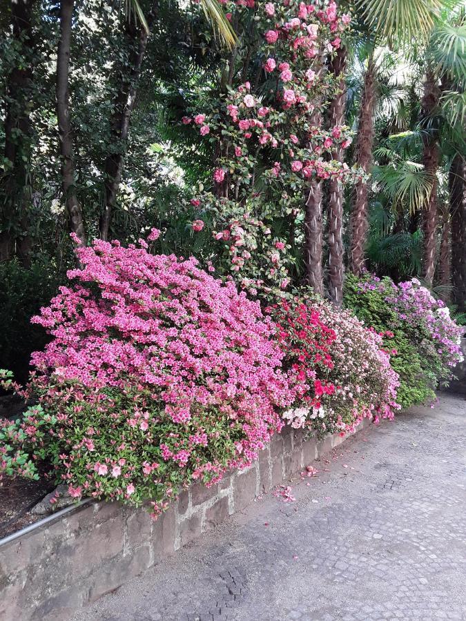 Villa Coris Ferienwohnung Magnolia Merano Esterno foto